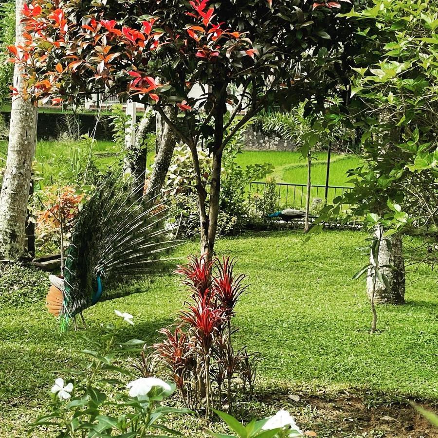 Surveyor'S Residence Bungalow Kandy Exterior foto