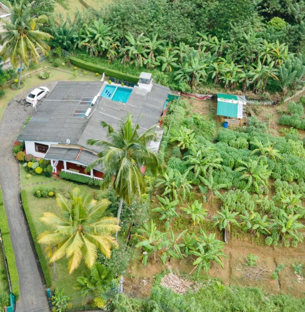 Surveyor'S Residence Bungalow Kandy Exterior foto